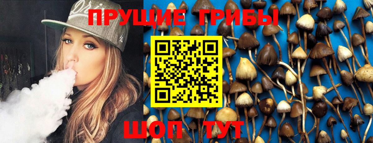закладка  Вход с VPN  Мелеуз  Галлюциногенные грибы GOLDEN TEACHER 